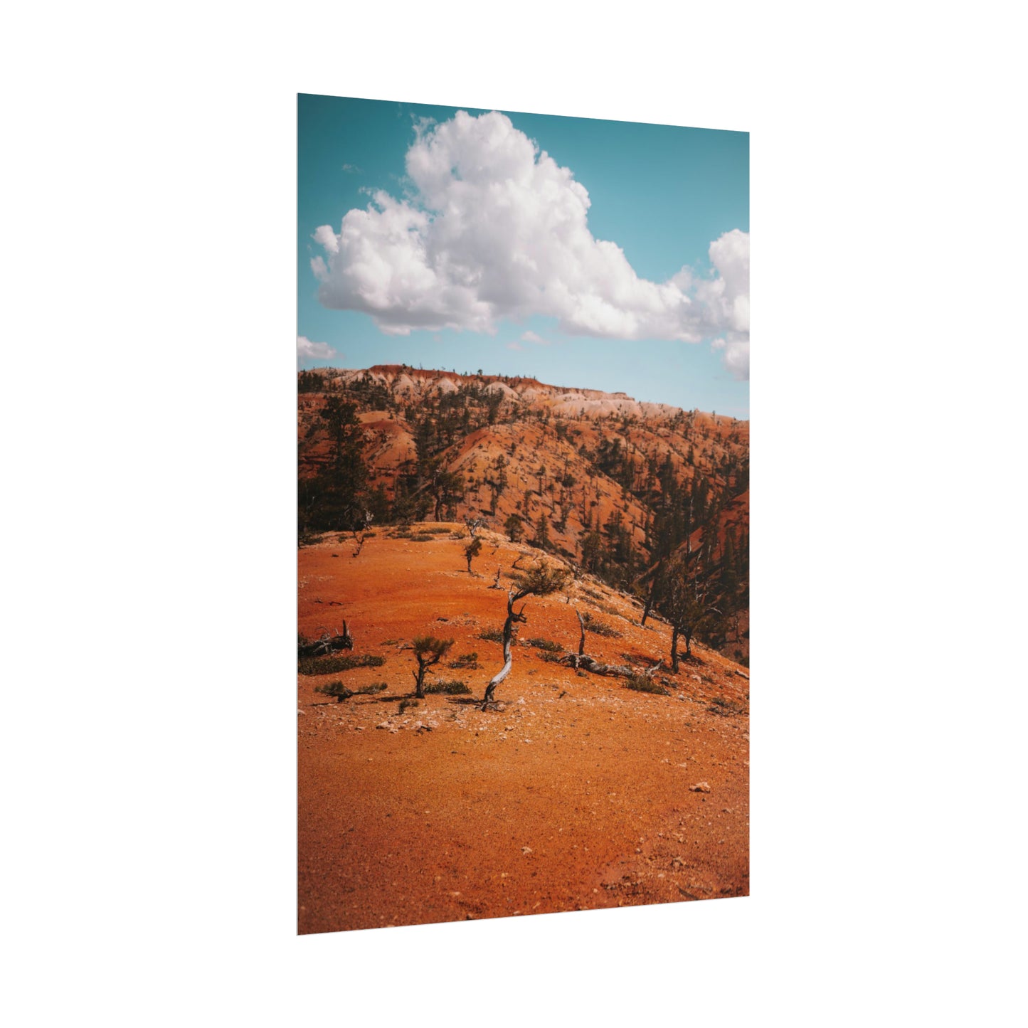 Bryce Canyon 01 - Rolled Poster