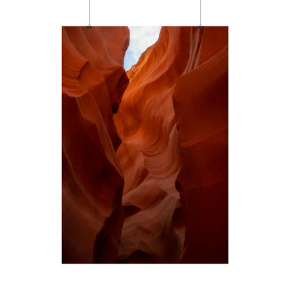 Antelope 07 - Rolled Poster