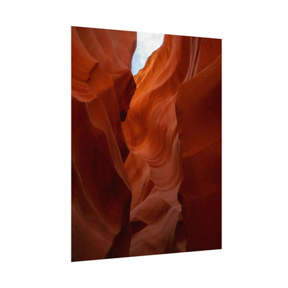 Antelope 07 - Rolled Poster