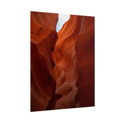 Antelope 07 - Rolled Poster