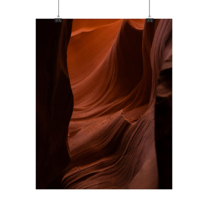 Antelope 01 - Rolled Poster