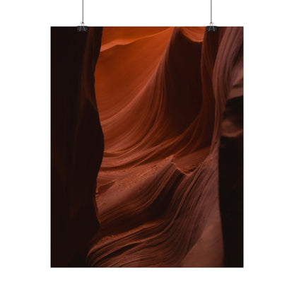 Antelope 01 - Rolled Poster