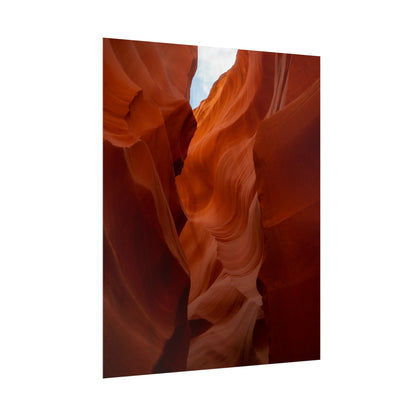 Antelope 07 - Rolled Poster