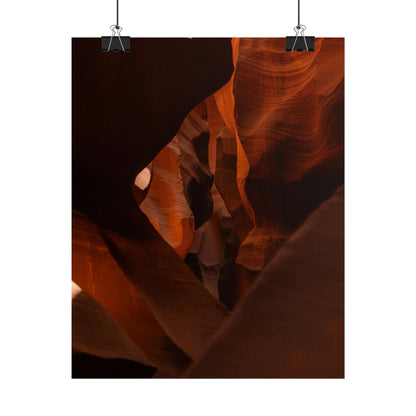 Antelope 05 - Rolled Poster
