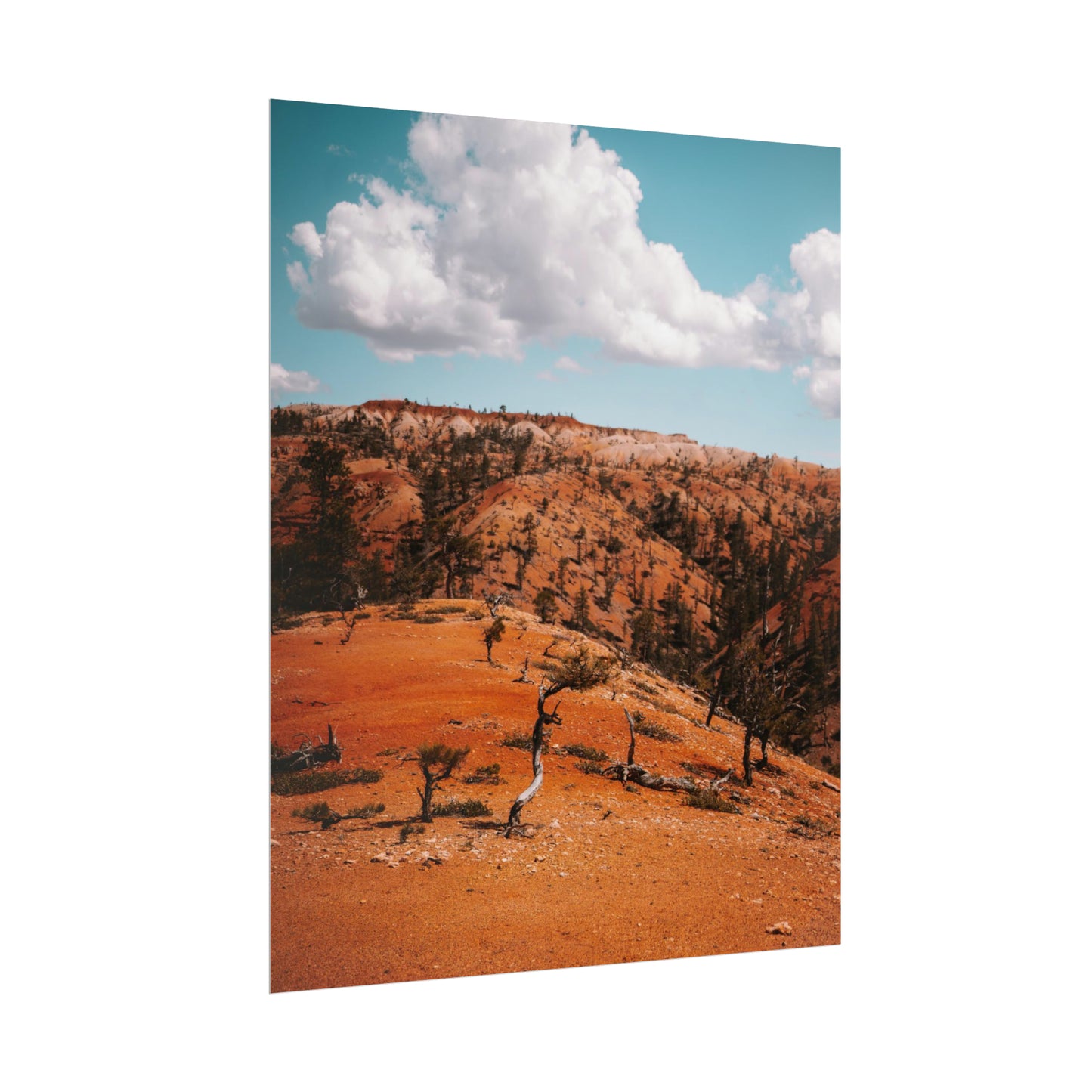Bryce Canyon 01 - Rolled Poster