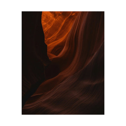 Antelope 03 - Rolled Poster