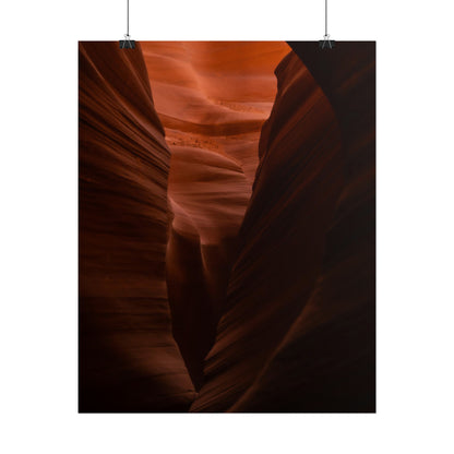 Antelope 02 - Rolled Poster