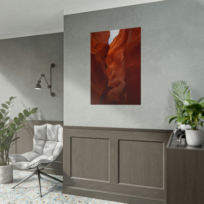 Antelope 07 - Rolled Poster