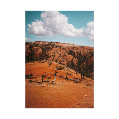 Bryce Canyon 01 - Rolled Poster