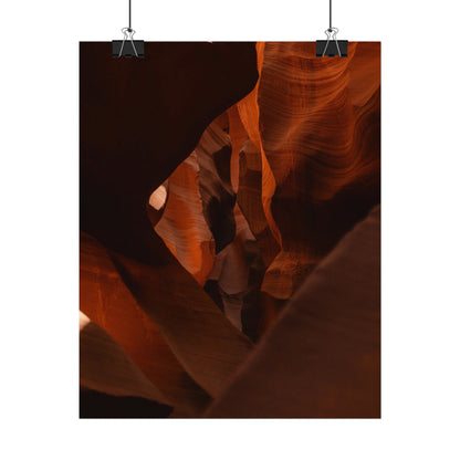 Antelope 05 - Rolled Poster