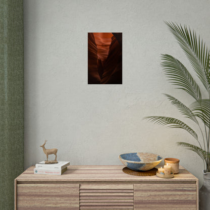 Antelope 02 - Rolled Poster