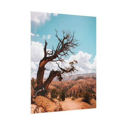 Bryce Canyon 02 - Rolled Poster