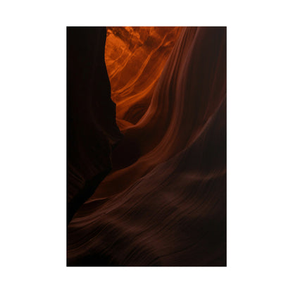 Antelope 03 - Rolled Poster