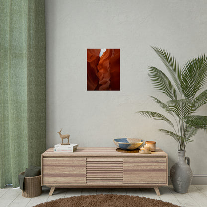 Antelope 07 - Rolled Poster