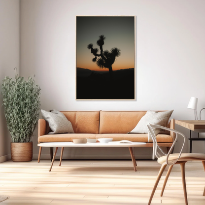 Joshua Tree